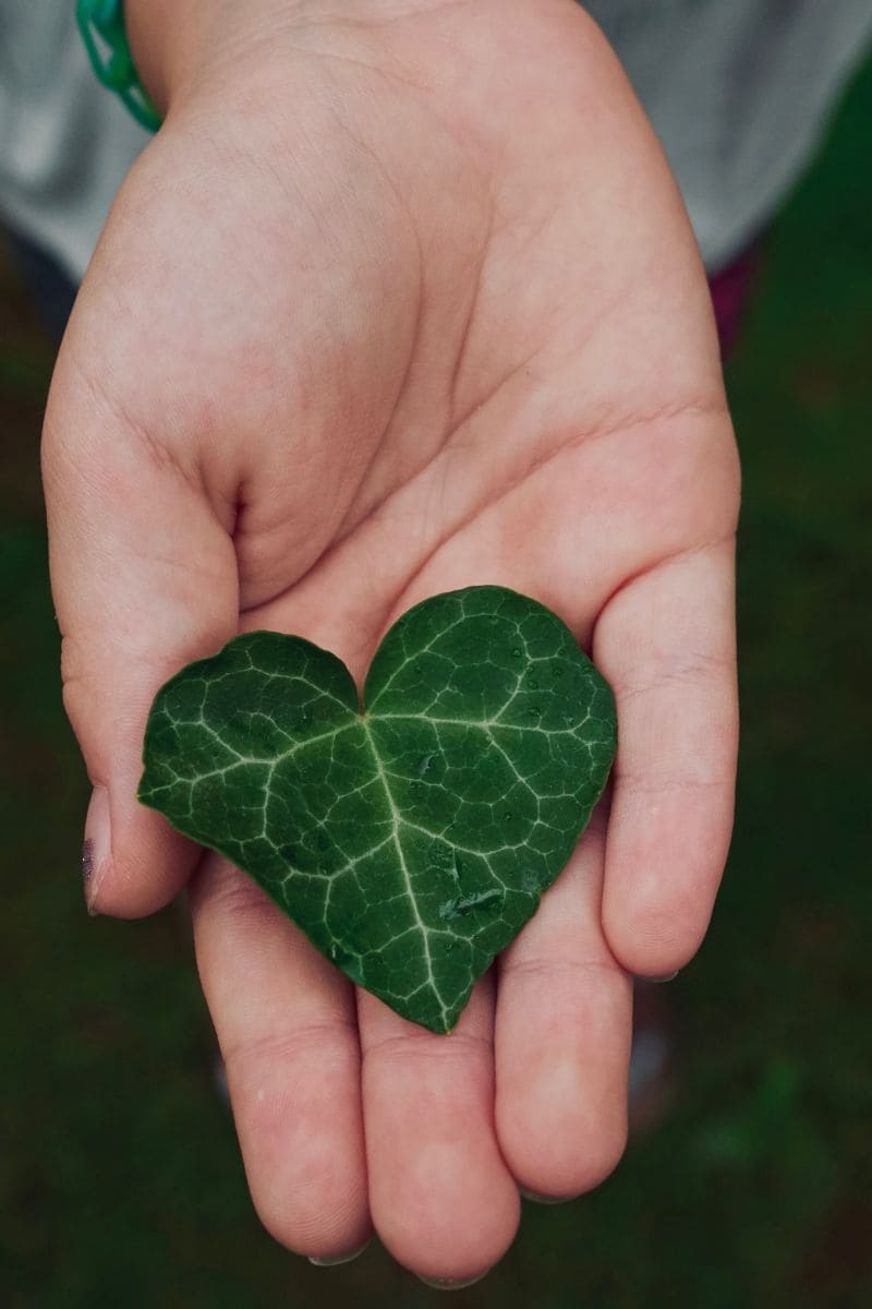 Chi può beneficiare della Psicoterapia Individuale?